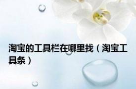淘宝的工具栏在哪里找（淘宝工具条）