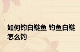 如何钓白鲢鱼 钓鱼白鲢怎么钓