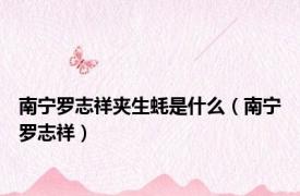 南宁罗志祥夹生蚝是什么（南宁罗志祥）