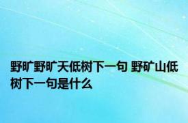 野旷野旷天低树下一句 野矿山低树下一句是什么