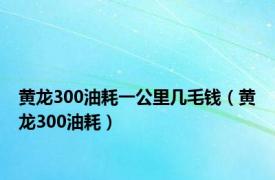 黄龙300油耗一公里几毛钱（黄龙300油耗）