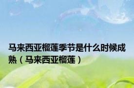 马来西亚榴莲季节是什么时候成熟（马来西亚榴莲）