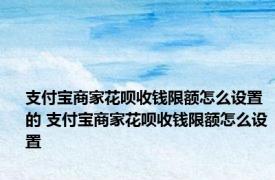 支付宝商家花呗收钱限额怎么设置的 支付宝商家花呗收钱限额怎么设置