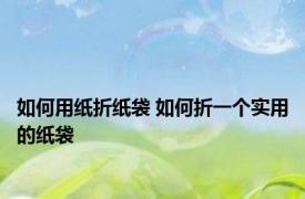 如何用纸折纸袋 如何折一个实用的纸袋