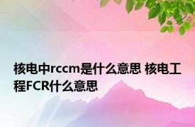 核电中rccm是什么意思 核电工程FCR什么意思