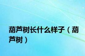 葫芦树长什么样子（葫芦树）
