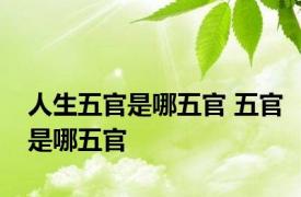 人生五官是哪五官 五官是哪五官 