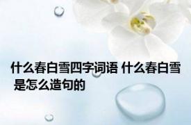什么春白雪四字词语 什么春白雪 是怎么造句的