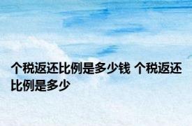 个税返还比例是多少钱 个税返还比例是多少