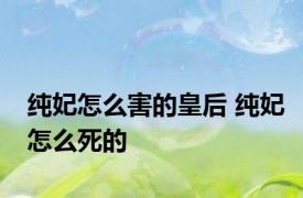 纯妃怎么害的皇后 纯妃怎么死的