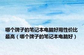 哪个牌子的笔记本电脑好用性价比最高（哪个牌子的笔记本电脑好）