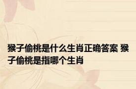 猴子偷桃是什么生肖正确答案 猴子偷桃是指哪个生肖