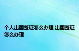 个人出国签证怎么办理 出国签证怎么办理 