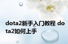 dota2新手入门教程 dota2如何上手