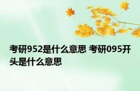 考研952是什么意思 考研095开头是什么意思