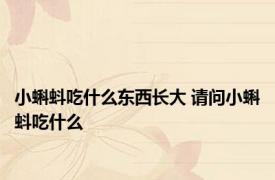 小蝌蚪吃什么东西长大 请问小蝌蚪吃什么