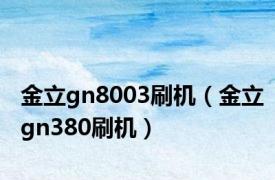 金立gn8003刷机（金立gn380刷机）