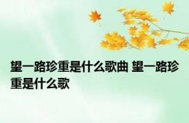 望一路珍重是什么歌曲 望一路珍重是什么歌
