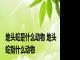地头蛇是什么动物 地头蛇指什么动物