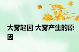 大雾起因 大雾产生的原因