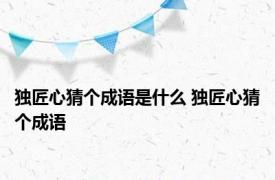 独匠心猜个成语是什么 独匠心猜个成语