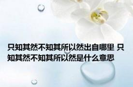 只知其然不知其所以然出自哪里 只知其然不知其所以然是什么意思