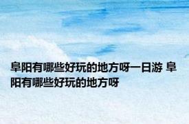 阜阳有哪些好玩的地方呀一日游 阜阳有哪些好玩的地方呀