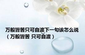 万般皆苦只可自渡下一句该怎么说（万般皆苦 只可自渡）