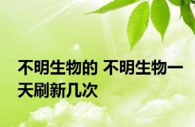 不明生物的 不明生物一天刷新几次