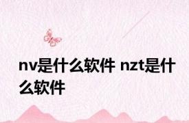 nv是什么软件 nzt是什么软件