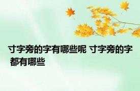 寸字旁的字有哪些呢 寸字旁的字 都有哪些