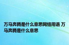 万马奔腾是什么意思网络用语 万马奔腾是什么意思