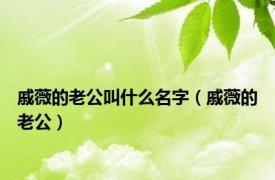 戚薇的老公叫什么名字（戚薇的老公）