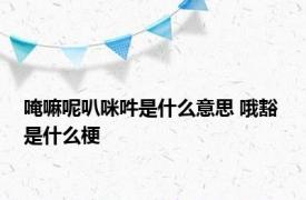 唵嘛呢叭咪吽是什么意思 哦豁 是什么梗