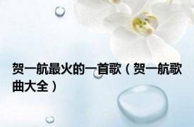 贺一航最火的一首歌（贺一航歌曲大全）