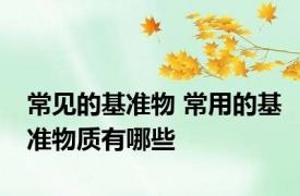 常见的基准物 常用的基准物质有哪些