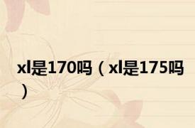 xl是170吗（xl是175吗）