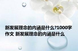新发展理念的内涵是什么?1000字作文 新发展理念的内涵是什么