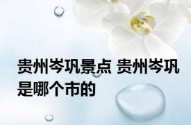 贵州岑巩景点 贵州岑巩是哪个市的