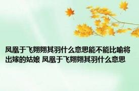 凤凰于飞翙翙其羽什么意思能不能比喻将出嫁的姑娘 凤凰于飞翙翙其羽什么意思