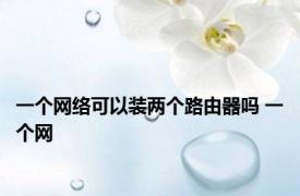 一个网络可以装两个路由器吗 一个网 