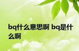 bq什么意思啊 bq是什么啊