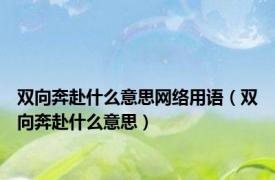 双向奔赴什么意思网络用语（双向奔赴什么意思）