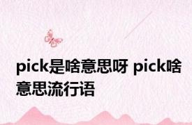 pick是啥意思呀 pick啥意思流行语