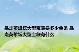 暴走英雄坛大型宝藏是多少金条 暴走英雄坛大型宝藏有什么