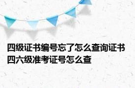 四级证书编号忘了怎么查询证书 四六级准考证号怎么查