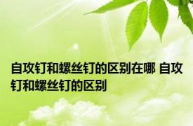自攻钉和螺丝钉的区别在哪 自攻钉和螺丝钉的区别