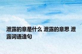 泄露的意是什么 泄露的意思 泄露词语造句