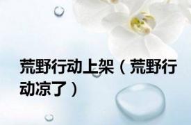 荒野行动上架（荒野行动凉了）