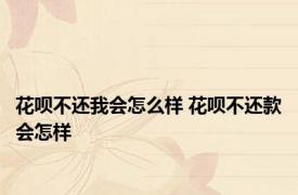 花呗不还我会怎么样 花呗不还款会怎样